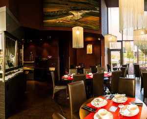 Restaurant-MangoFusion-shiltigheim-LaSalle-Panoramique